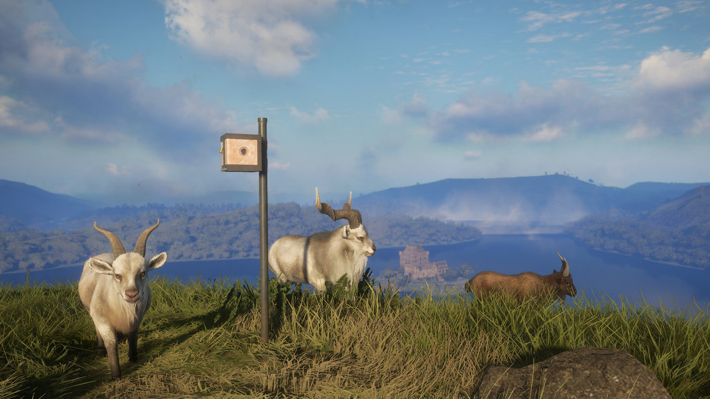 theHunter: Call of the Wild - Game Feeder Pack 2 DLC PC Steam CD Key  REGION FREE Expansive Worlds - [Email/Instant Delivery]