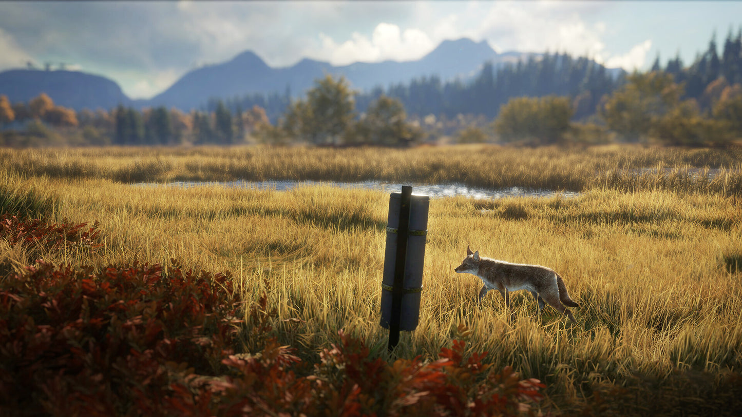 theHunter: Call of the Wild - Game Feeder Pack 2 DLC PC Steam CD Key  REGION FREE Expansive Worlds - [Email/Instant Delivery]