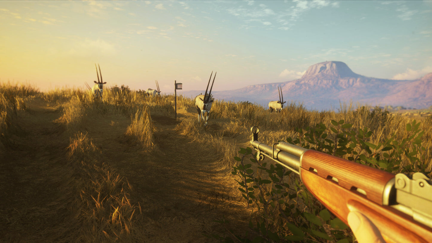 theHunter: Call of the Wild - Game Feeder Pack 2 DLC PC Steam CD Key  REGION FREE Expansive Worlds - [Email/Instant Delivery]