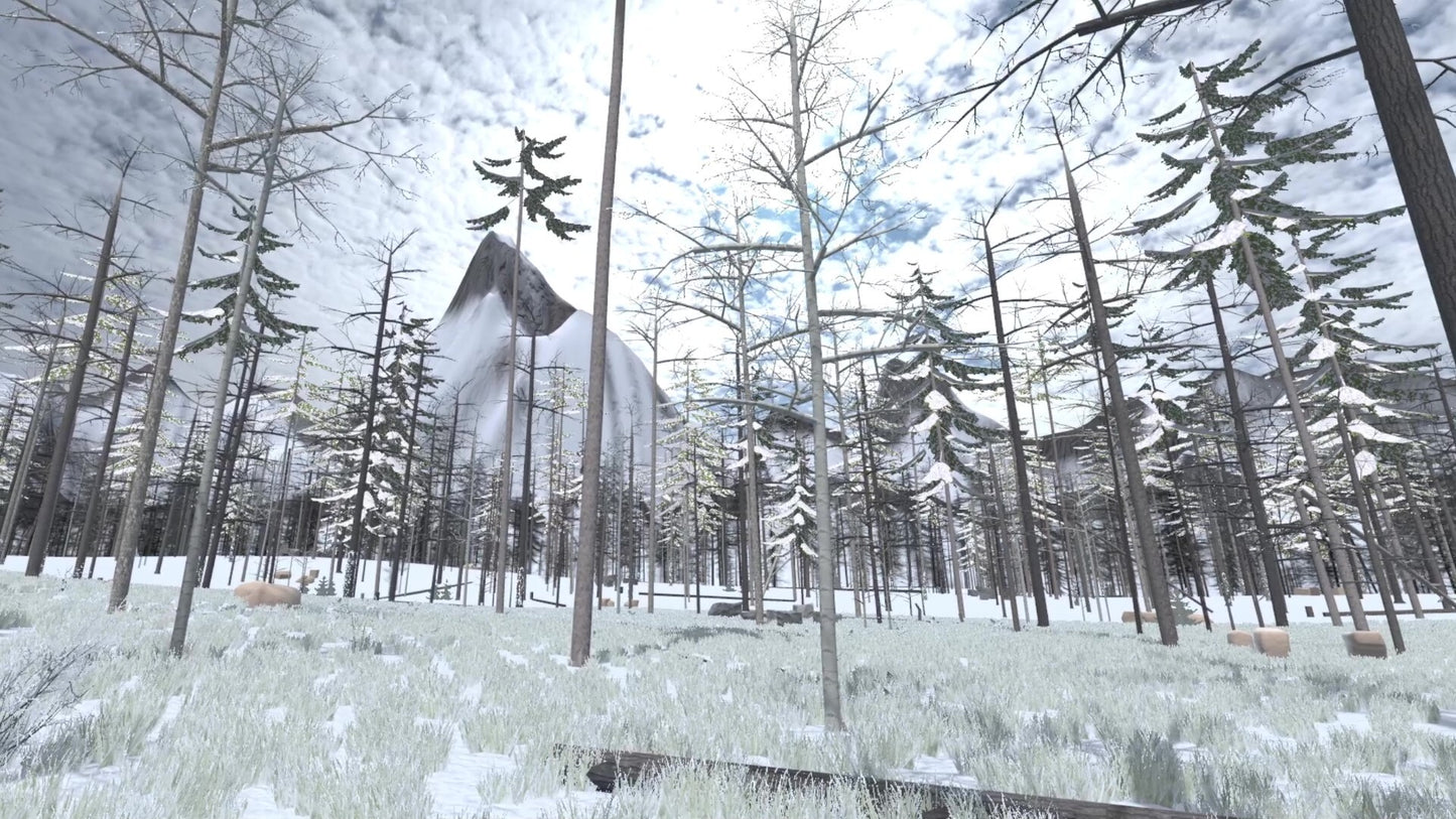 Forest Construction VR PC Steam CD Key  REGION FREE RedLightsStudio - [Email/Instant Delivery]