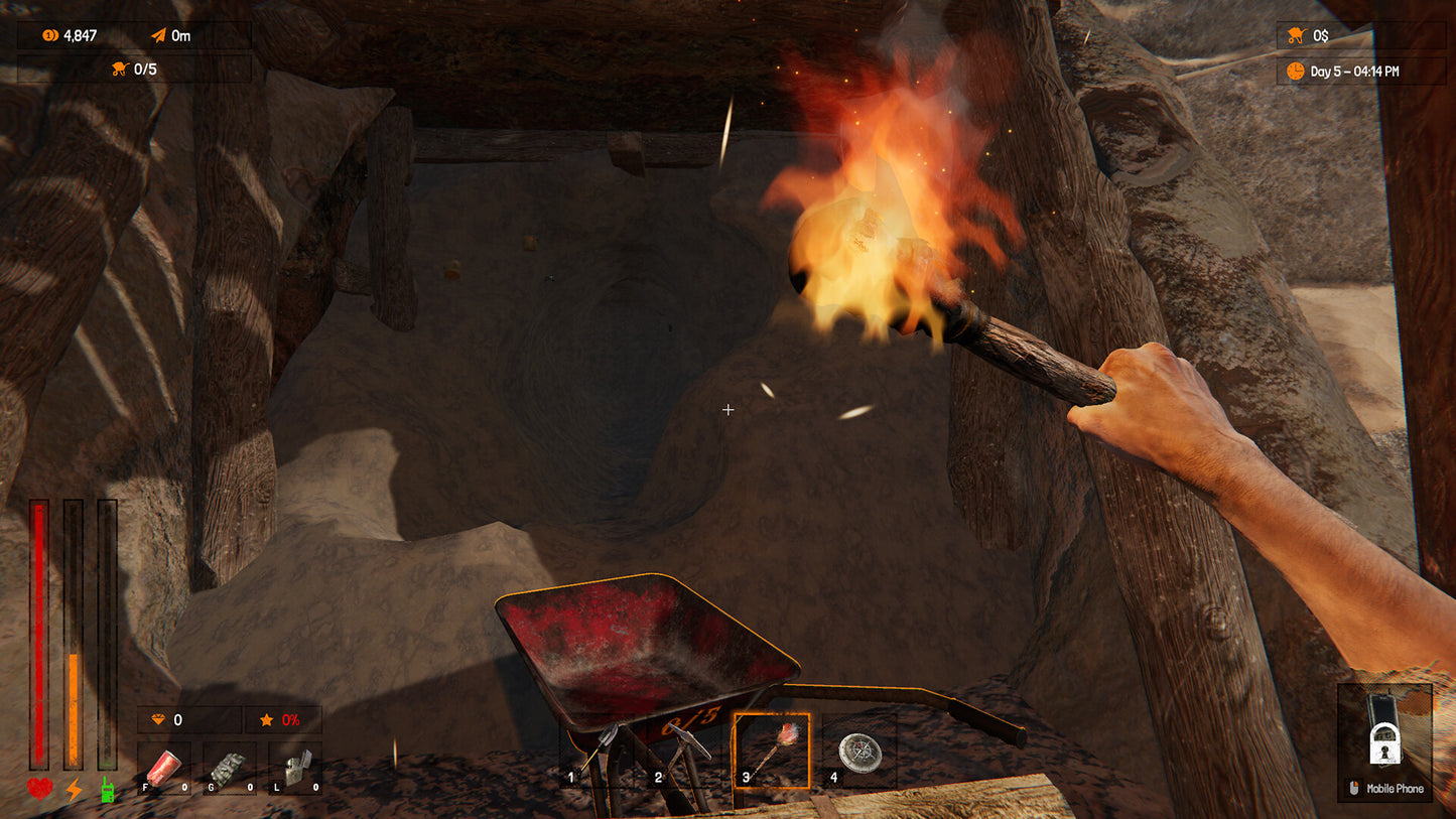 Dig For Riches PC Steam CD Key  REGION FREE OxygenStudio - [Email/Instant Delivery]