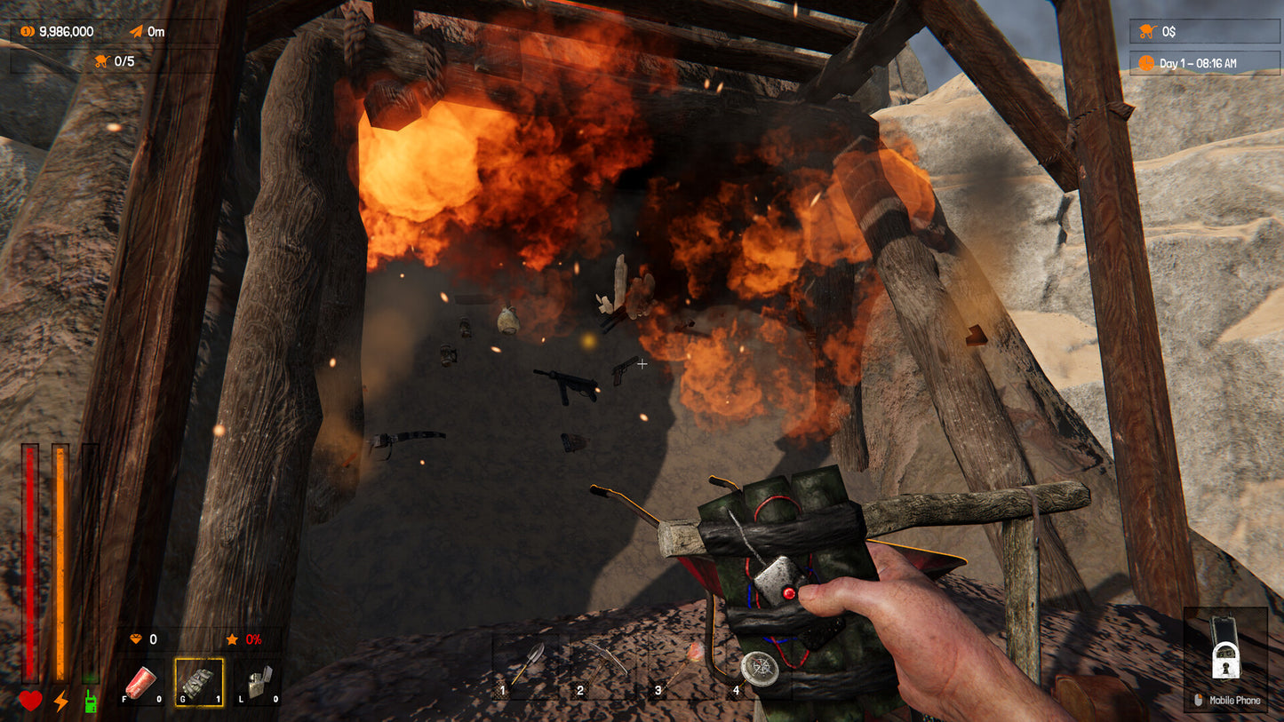 Dig For Riches PC Steam CD Key  REGION FREE OxygenStudio - [Email/Instant Delivery]