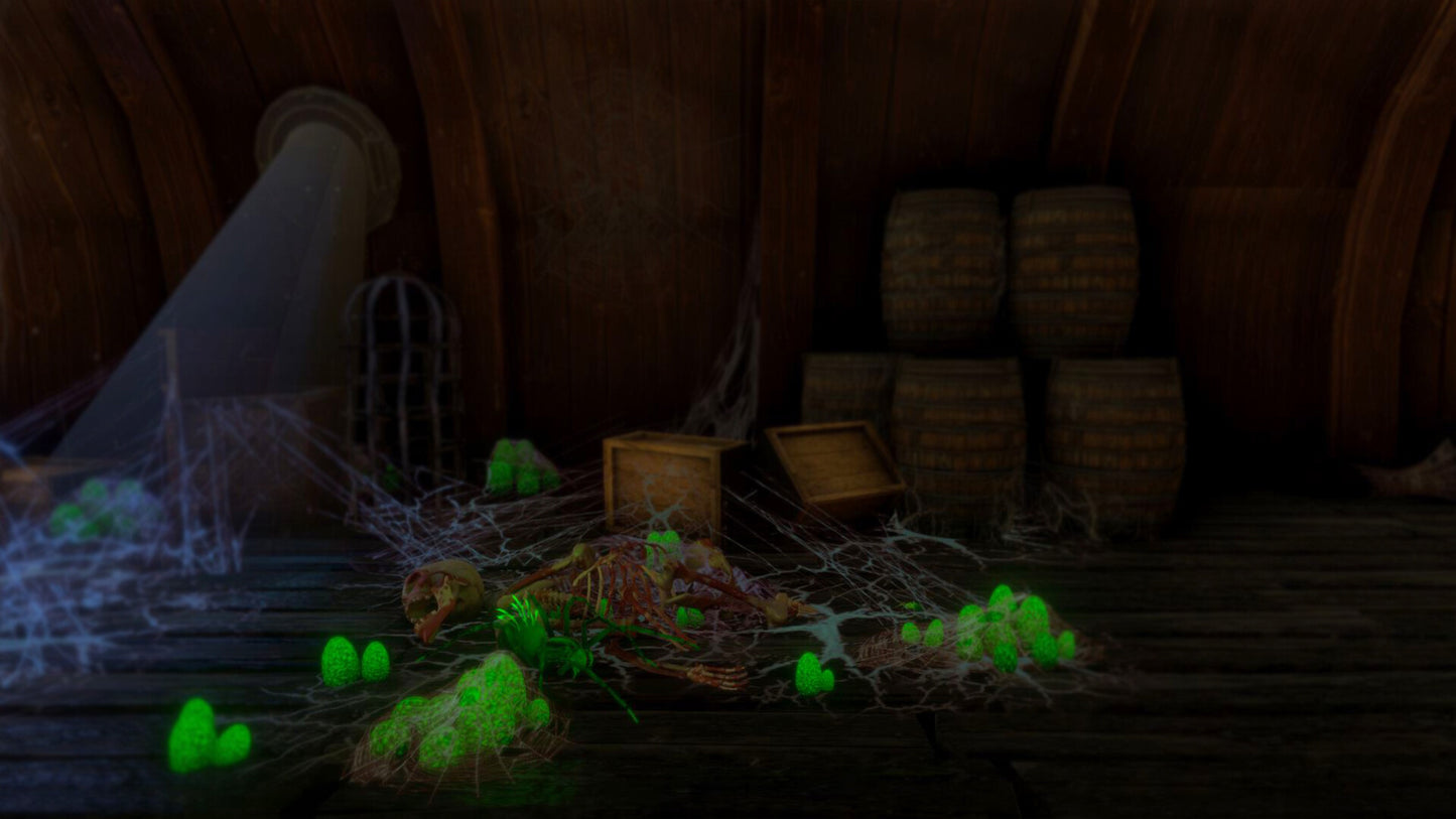 Pirate Ghost Ship PC Steam CD Key  REGION FREE The Moshow Games - [Email/Instant Delivery]
