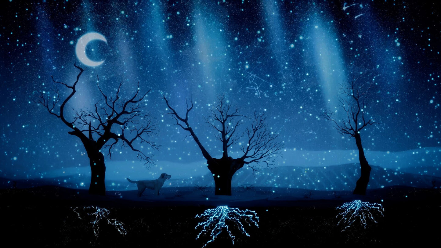 Treeplanter: Plant real trees PC Steam CD Key  REGION FREE Future Friends Games - [Email/Instant Delivery]