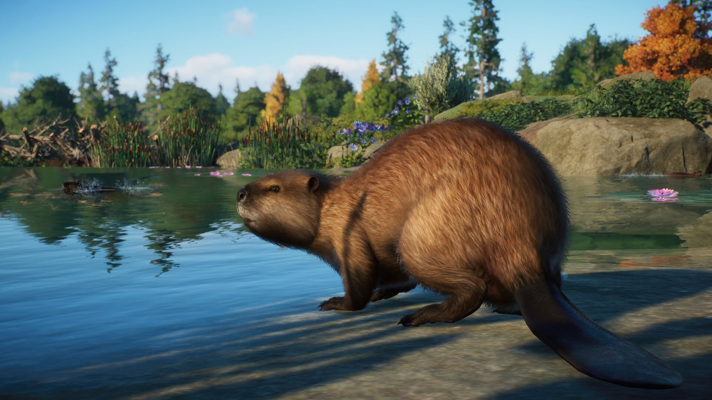 Planet Zoo: North America Animal Pack (PC) - Steam Key - GLOBAL   - Frontier Developments [Email/Instant Delivery]