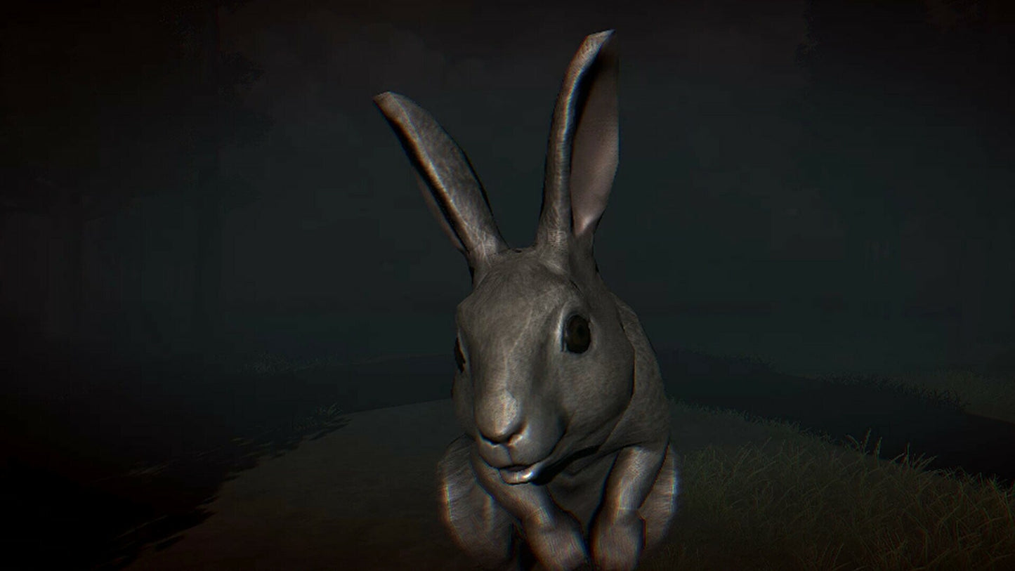 Rabbit Riot (PC) - Steam Key - GLOBAL  [Email/Instant Delivery]