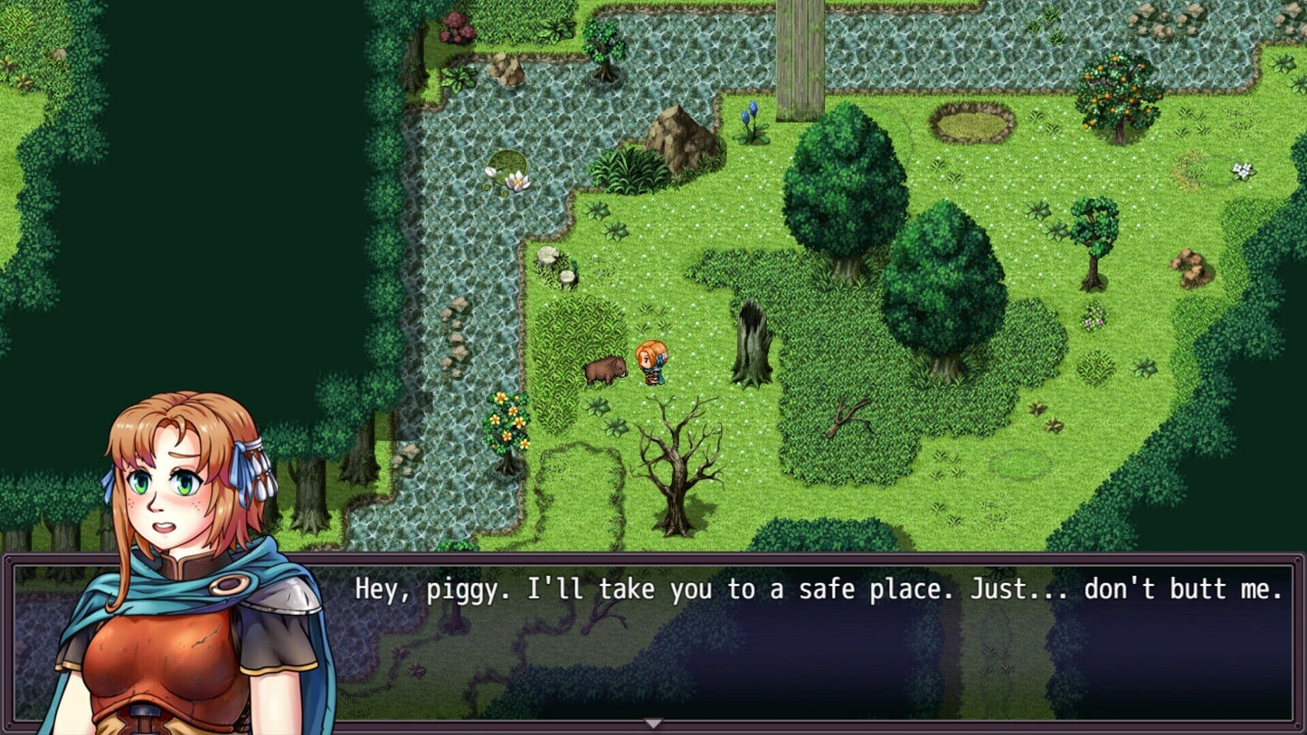 Heroines of Swords & Spells 2 (PC) - Steam Key - GLOBAL  [Email/Instant Delivery]
