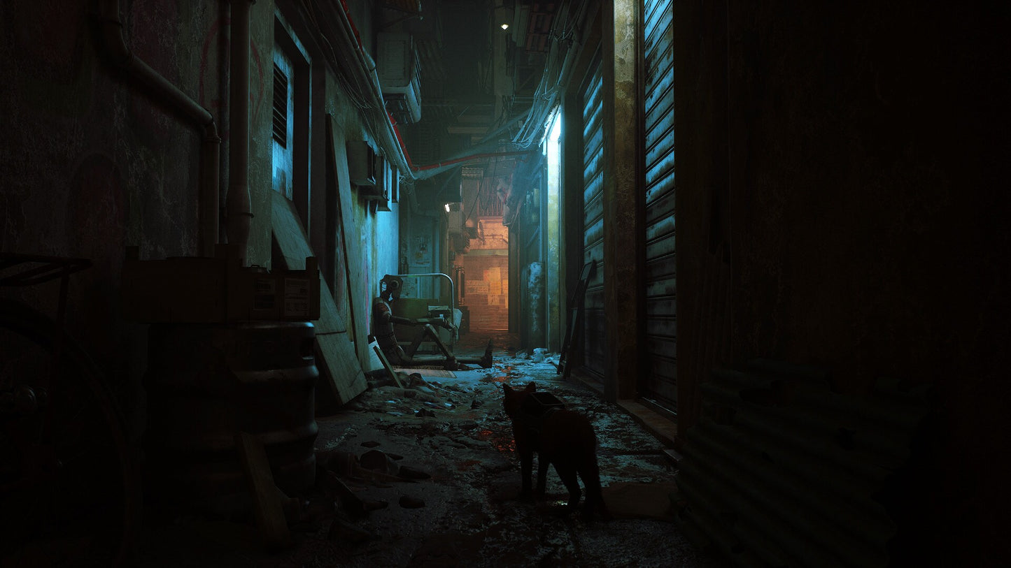 Stray (PC) - Steam Gift - GLOBAL   - Annapurna Interactive [Email/Instant Delivery]