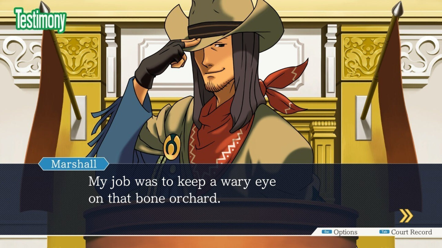 Ace Attorney Anthology (PC) - Steam Key - NORTH AMERICA  [Email/Instant Delivery]