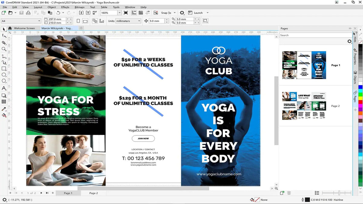 CorelDRAW 2021 Standard (2 PC, Lifetime) - Corel Key - GLOBAL  [Email/Instant Delivery]
