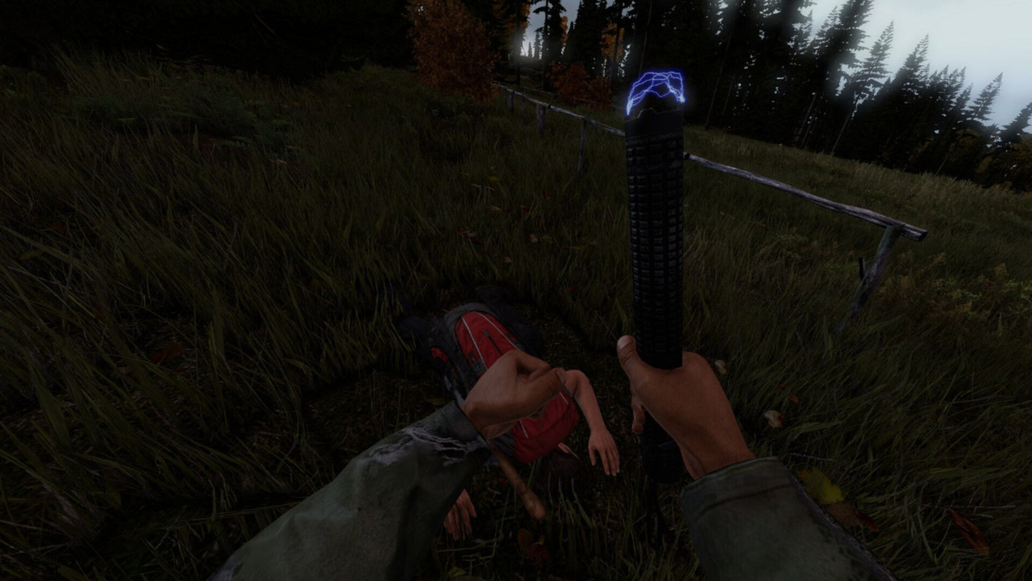 DayZ (PC) - Steam Key - UNITED STATES   - Bohemia Interactive [Email/Instant Delivery]