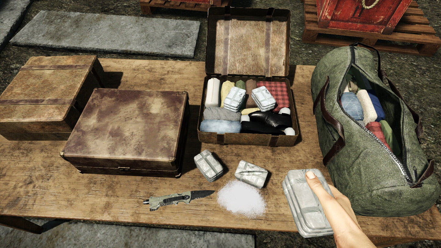 Contraband Police (PC) - Steam Gift - GLOBAL   - PlayWay S.A. [Email/Instant Delivery]