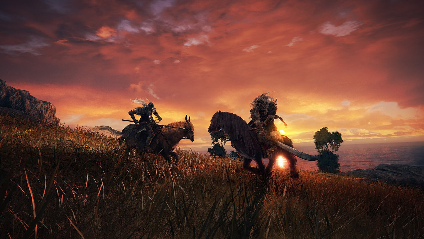 Elden Ring (PC) - Steam Key - NORTH & SOUTH AMERICA   - BANDAI NAMCO Entertainment [Email/Instant Delivery]