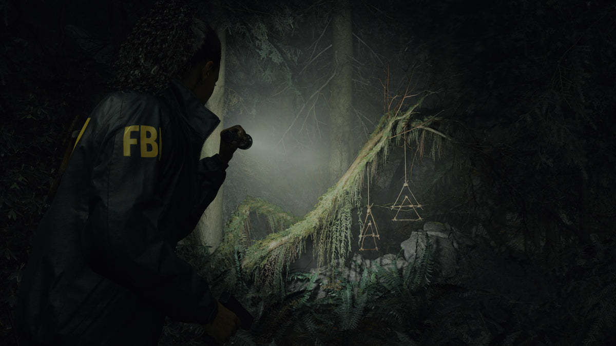 Alan Wake 2 Deluxe Edition Epic Games Green Gift Redemption Code Other -  REGION FREE  [Email/Instant Delivery]