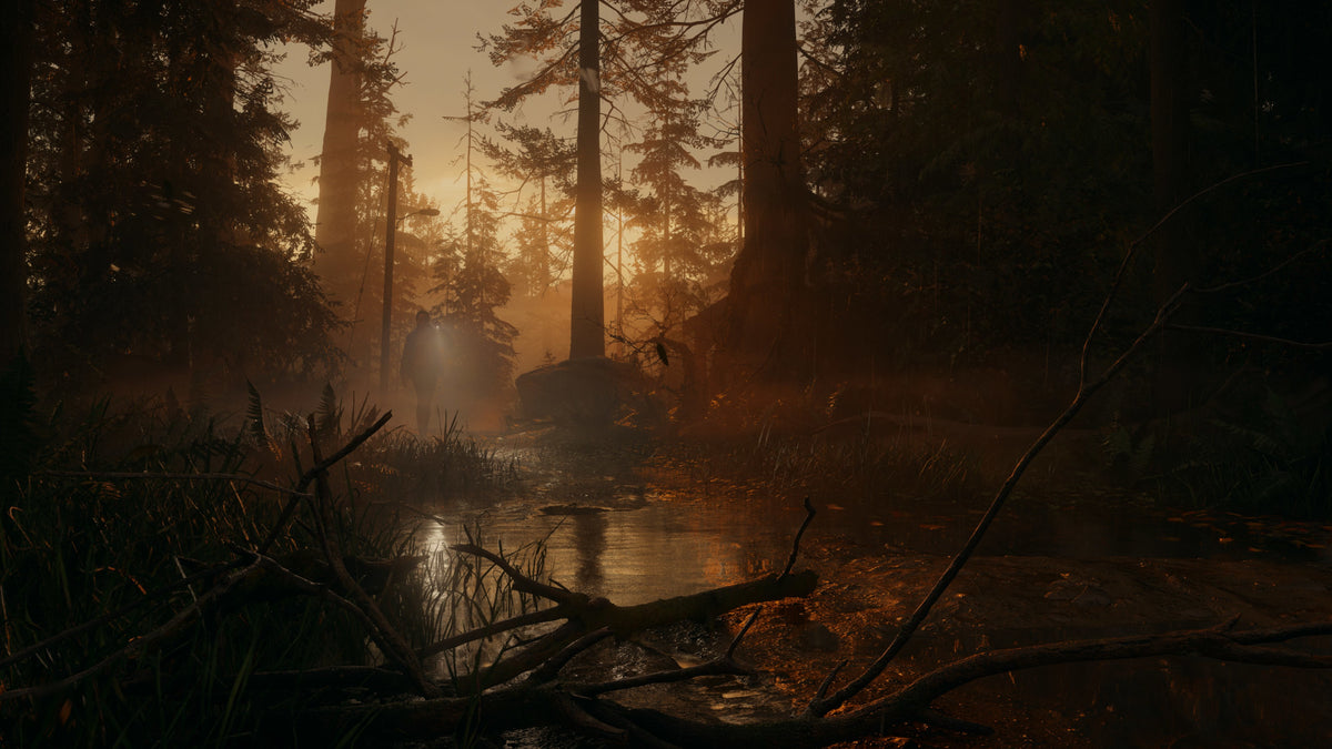 Alan Wake 2 Deluxe Edition EU Xbox Series X|S CD Key  OTHER Epic Games - [Email/Instant Delivery]
