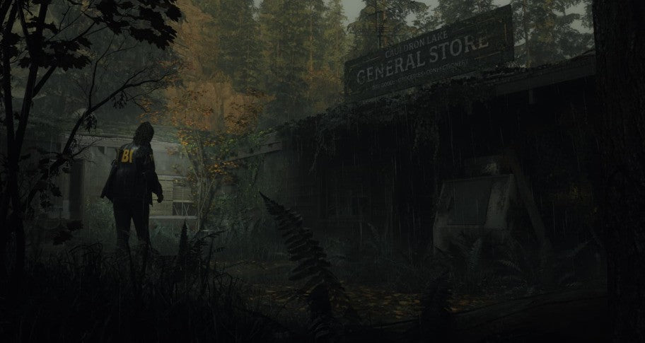 Alan Wake 2 Epic Games Green Gift Redemption Code Other -  REGION FREE Epic Games Publishing - [Email/Instant Delivery]