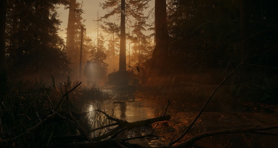 Alan Wake 2 Epic Games Green Gift Redemption Code Other -  REGION FREE Epic Games Publishing - [Email/Instant Delivery]