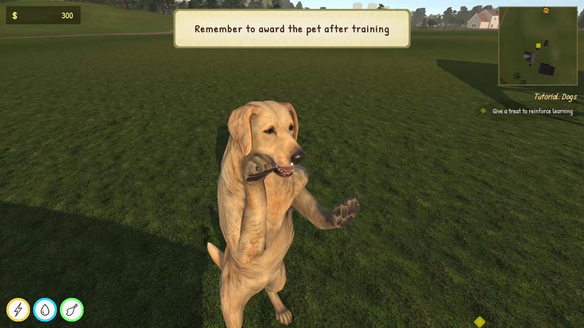 Animal Trainer Simulator RoW PC Steam CD Key  REST OF THE WORLD Games Incubator - [Email/Instant Delivery]