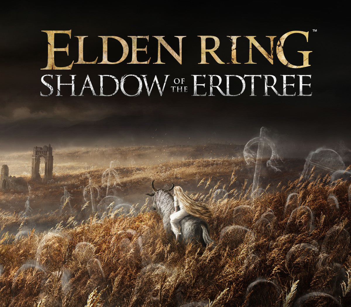 ELDEN RING - Shadow of the Erdtree DLC Steam Altergift   Rest of the world (RoW) - custom FromSoftware Inc. - [Email/Instant Delivery]
