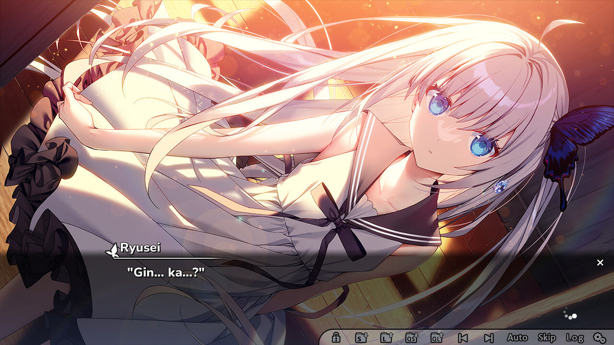 GINKA PC Steam Account  REGION FREE Frontwing USA - [Email/Instant Delivery]