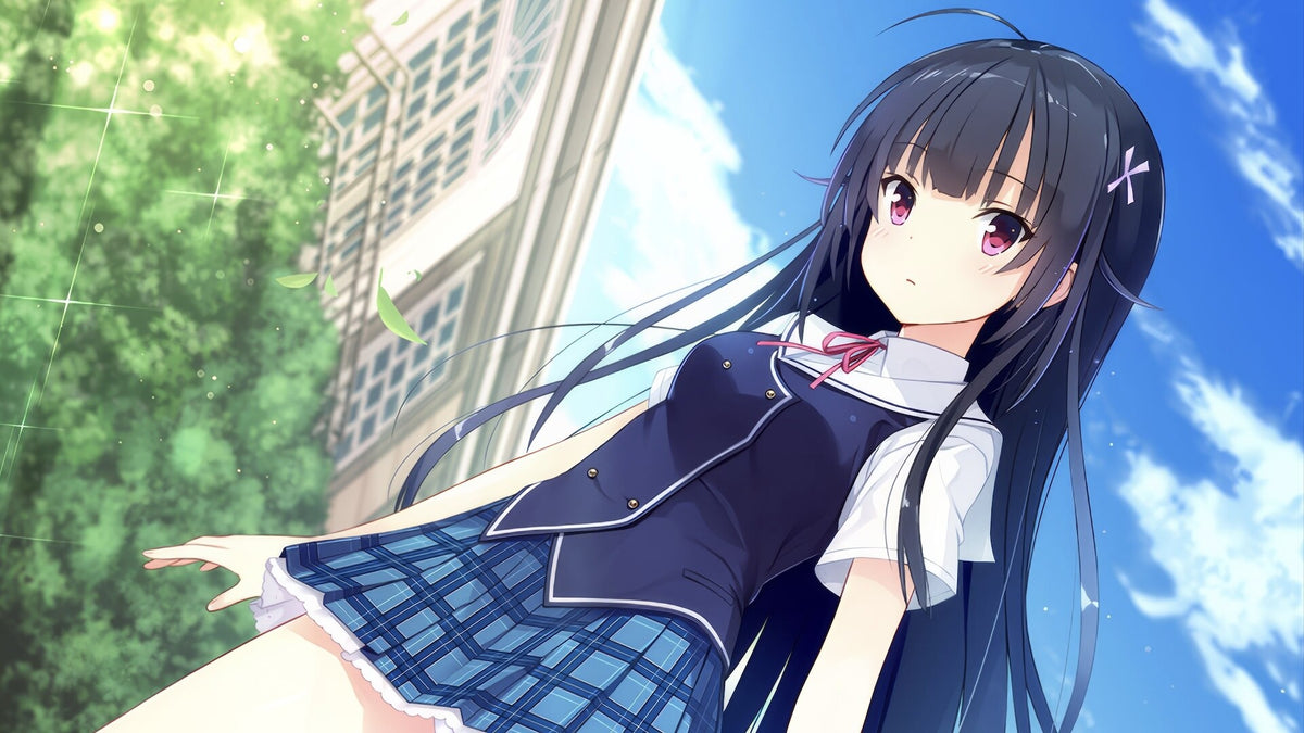 Kimi no Hitomi ni Hit Me FHD Edition PC Steam Account  REGION FREE HIKARI PULSE - [Email/Instant Delivery]