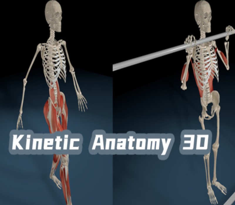 Kinetic Anatomy 3D PC Steam CD Key  REGION FREE LinxTech - [Email/Instant Delivery]
