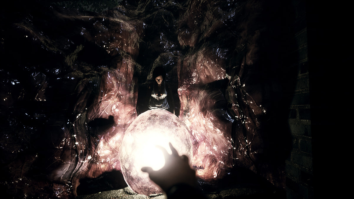 Shines Over: The Damned NA PS5 CD Key PlayStation 5 -  North America Firenut Consulting S.L. - [Email/Instant Delivery]