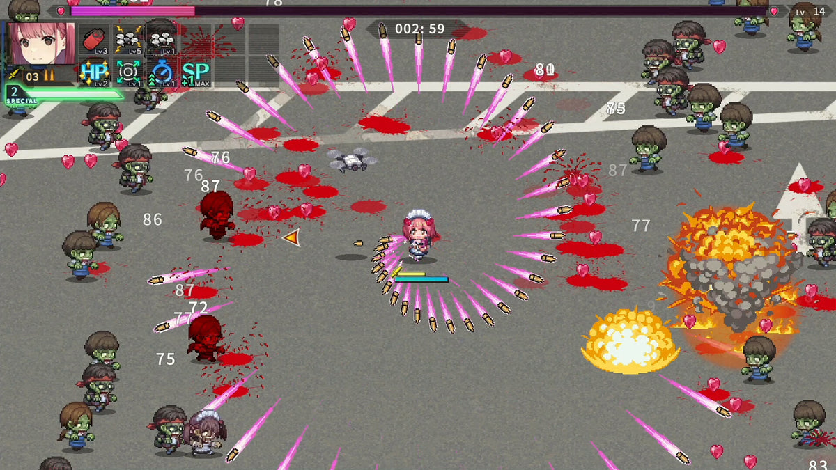 Maid of the Dead PC Steam CD Key  REST OF THE WORLD  [Email/Instant Delivery]