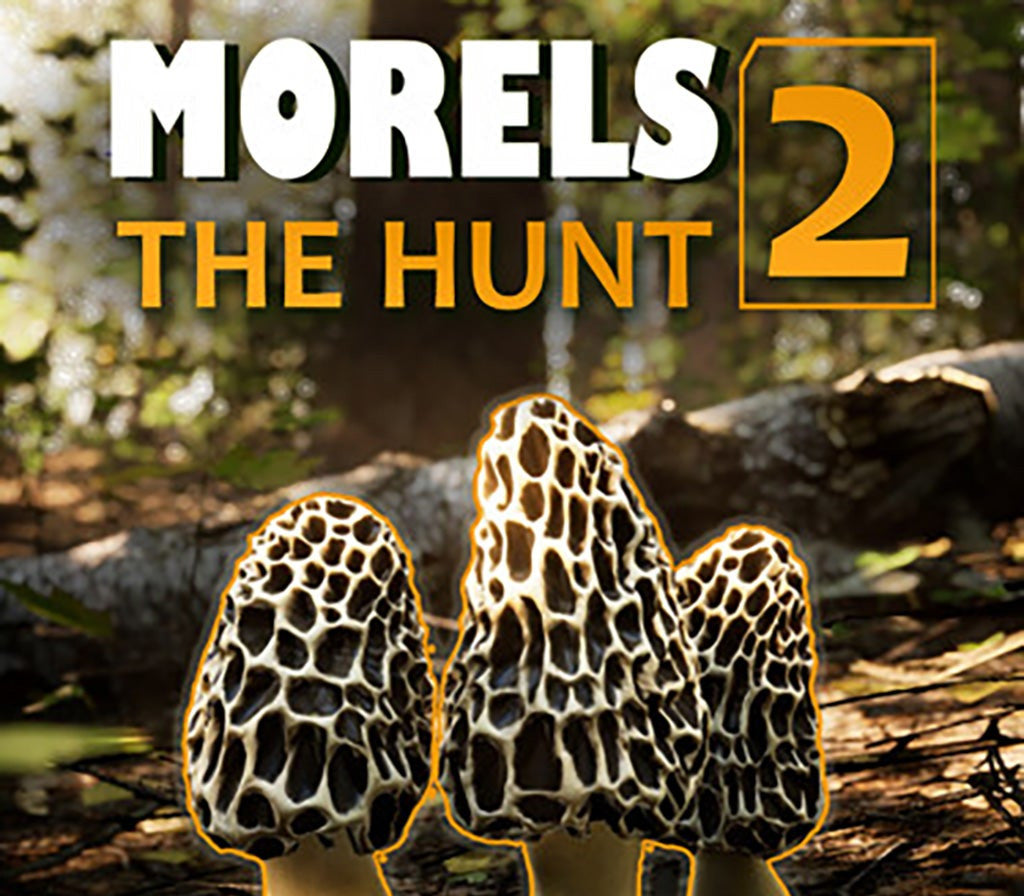 Morels: The Hunt 2 Steam CD Key  REGION FREE Abrams Studios - [Email/Instant Delivery]