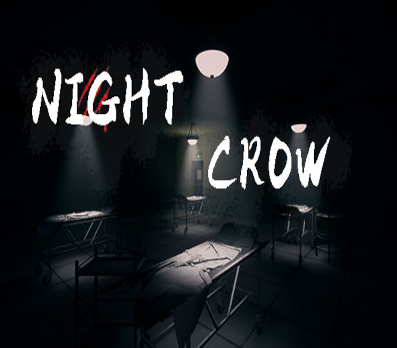 NIGHT CROW PC Steam CD Key  REGION FREE Ge-Aivan - [Email/Instant Delivery]