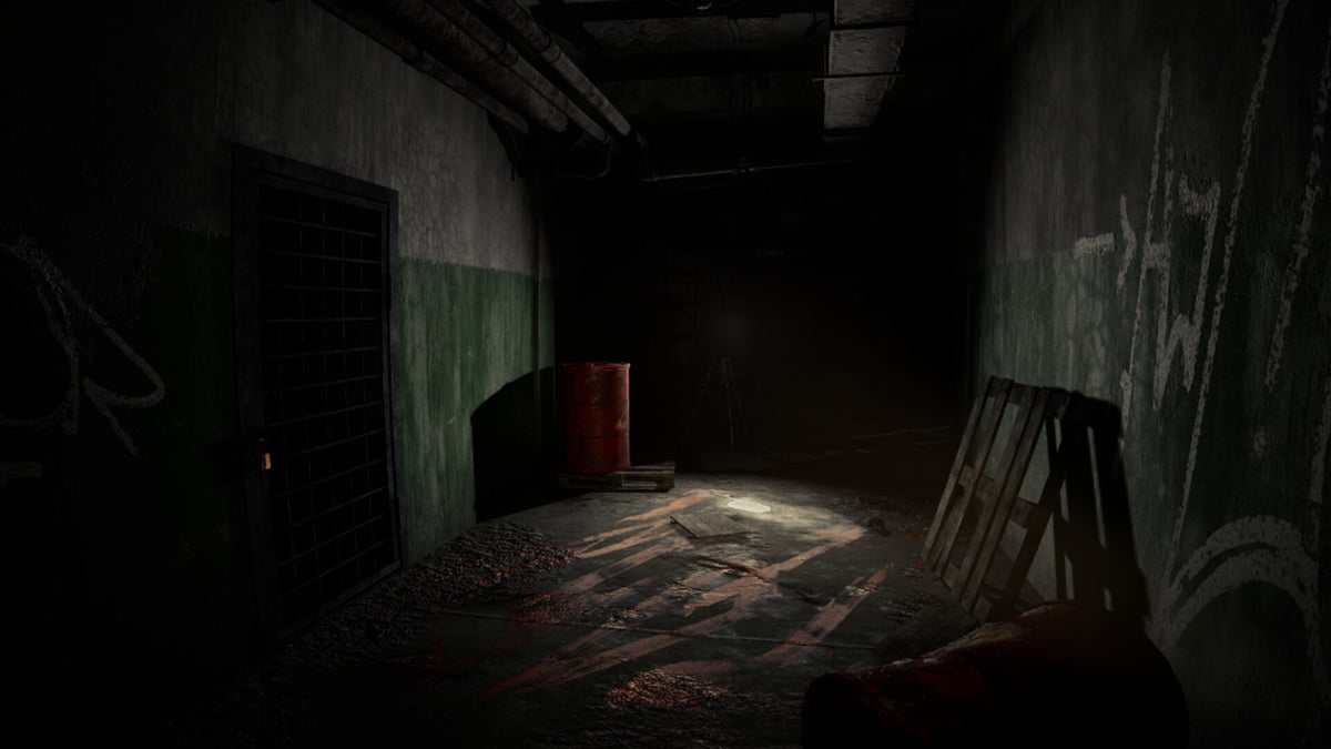 Paranormal place PC Steam CD Key  REGION FREE ASK_GAMES - [Email/Instant Delivery]
