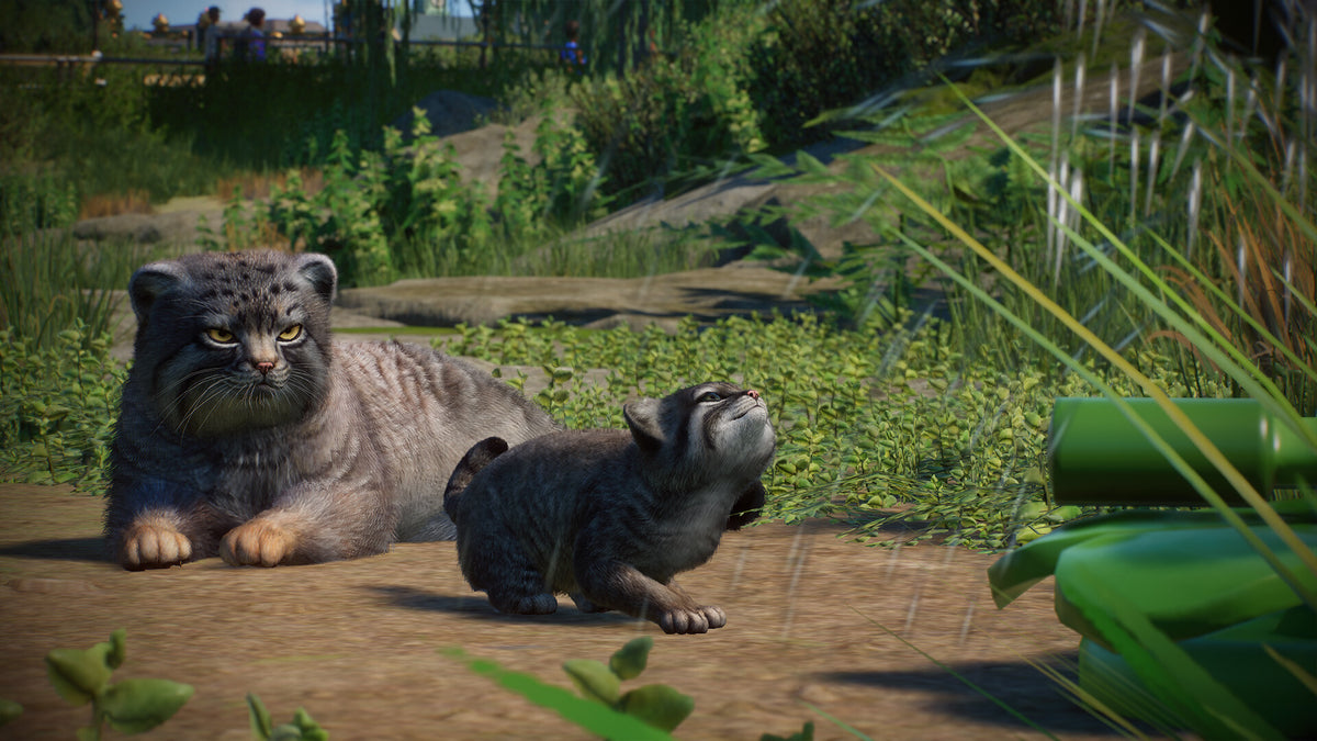 Planet Zoo - Zookeepers Animal Pack DLC EU PC Steam CD Key  EUROPE Frontier Developments - [Email/Instant Delivery]