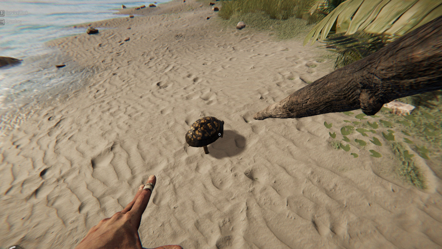 Project Castaway PC Steam Altergift  REGION FREE Mardonpol Inc. - [Email/Instant Delivery]