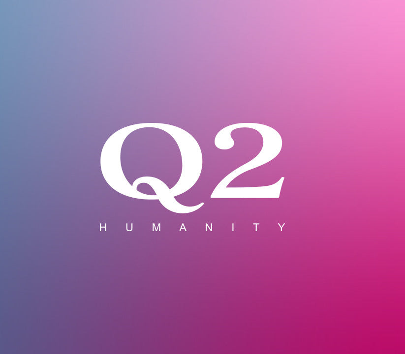 Q2 HUMANITY Steam CD Key  REGION FREE liica inc. - [Email/Instant Delivery]