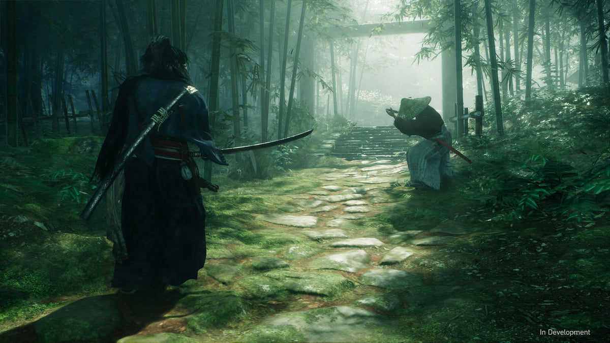 Rise of the Ronin RoW PC Steam CD Key  REST OF THE WORLD Sony Interactive Entertainment Europe - [Email/Instant Delivery]
