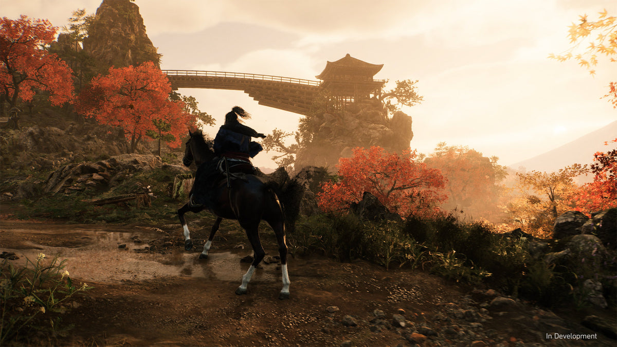 Rise of the Ronin PS5 Account PlayStation 5 -  REGION FREE Sony Interactive Entertainment Europe - [Email/Instant Delivery]