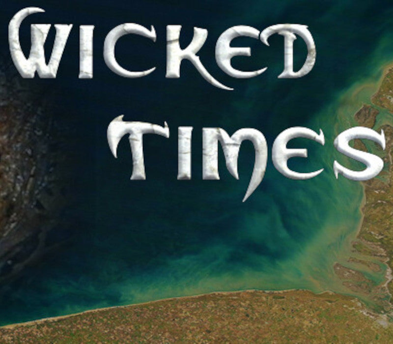 Wicked Times Steam CD Key  REGION FREE Diamond Tao - [Email/Instant Delivery]
