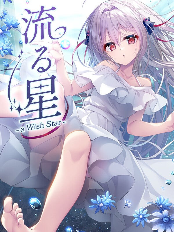 流る星 -a wish star- PC Steam Account  REGION FREE Frontwing USA - [Email/Instant Delivery]