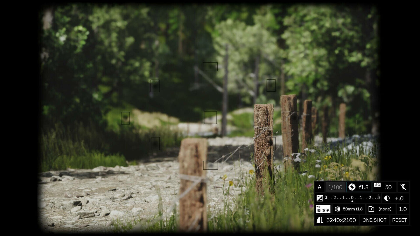 Lushfoil Photography Sim (PC) - Steam Key - NORTH AMERICA   - Annapurna Interactive [Email/Instant Delivery]