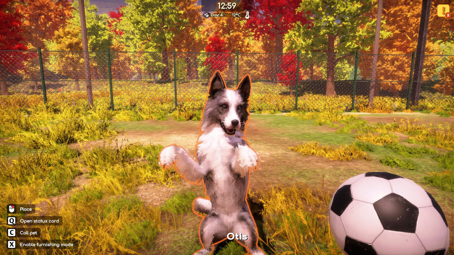 Animal Shelter 2 (PC) - Steam Gift - NORTH AMERICA   - PlayWay S.A. [Email/Instant Delivery]