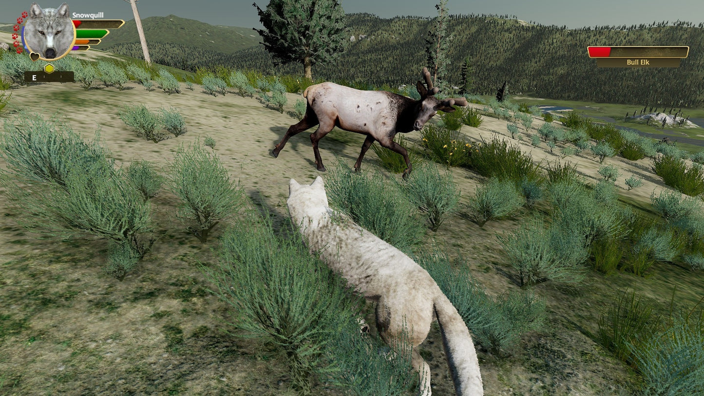 WolfQuest: Anniversary Edition (PC) - Steam Gift - NORTH AMERICA   - eduweb [Email/Instant Delivery]