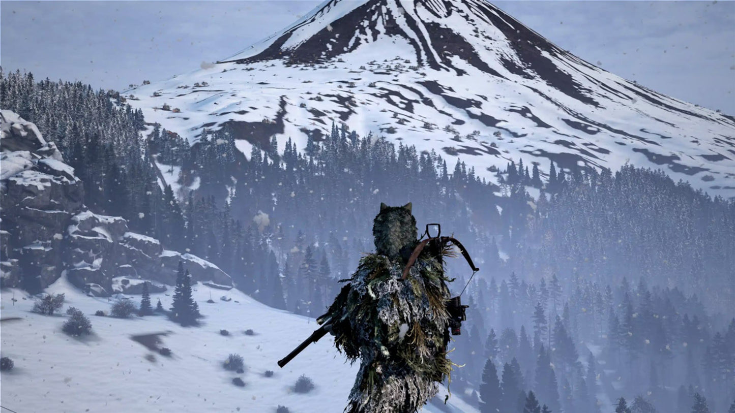 DayZ: Frostline (PC) - Steam Gift - GLOBAL  [Email/Instant Delivery]