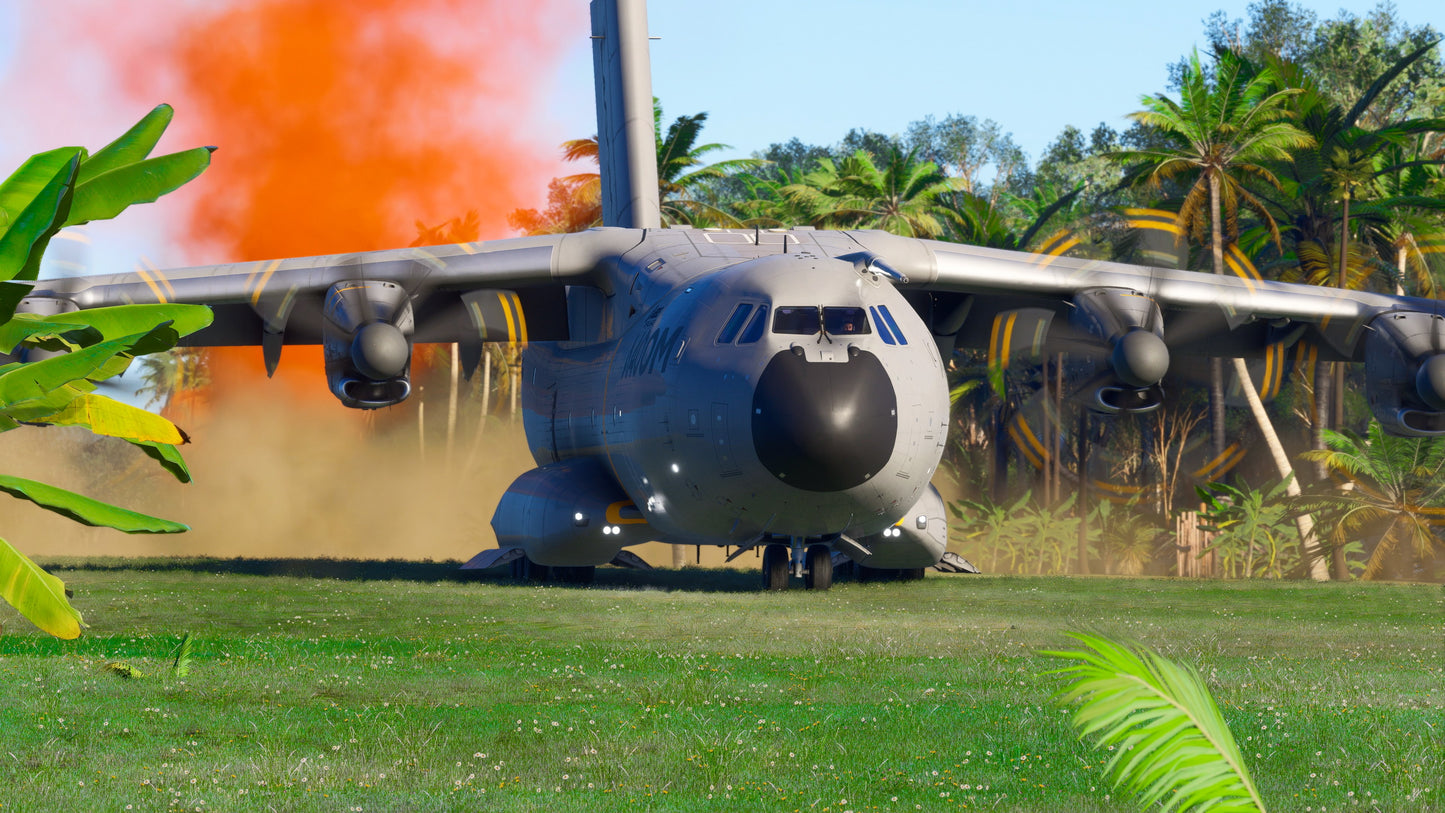 Microsoft Flight Simulator 2024 PC Steam Altergift  REGION FREE  [Email/Instant Delivery]