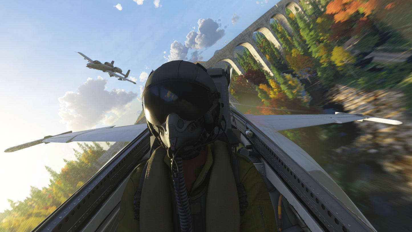 Microsoft Flight Simulator 2024 PC Steam Altergift  REGION FREE  [Email/Instant Delivery]