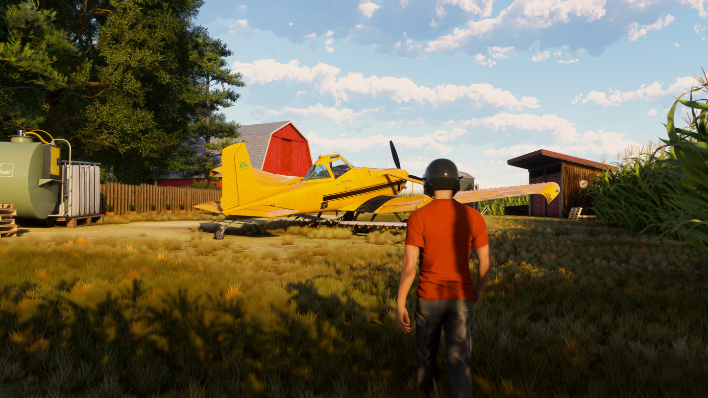 Microsoft Flight Simulator 2024 PC Steam Altergift  REGION FREE  [Email/Instant Delivery]