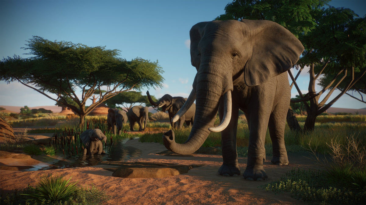 Planet Zoo: Console Edition Xbox Series X|S Account  REGION FREE Frontier Developments - [Email/Instant Delivery]