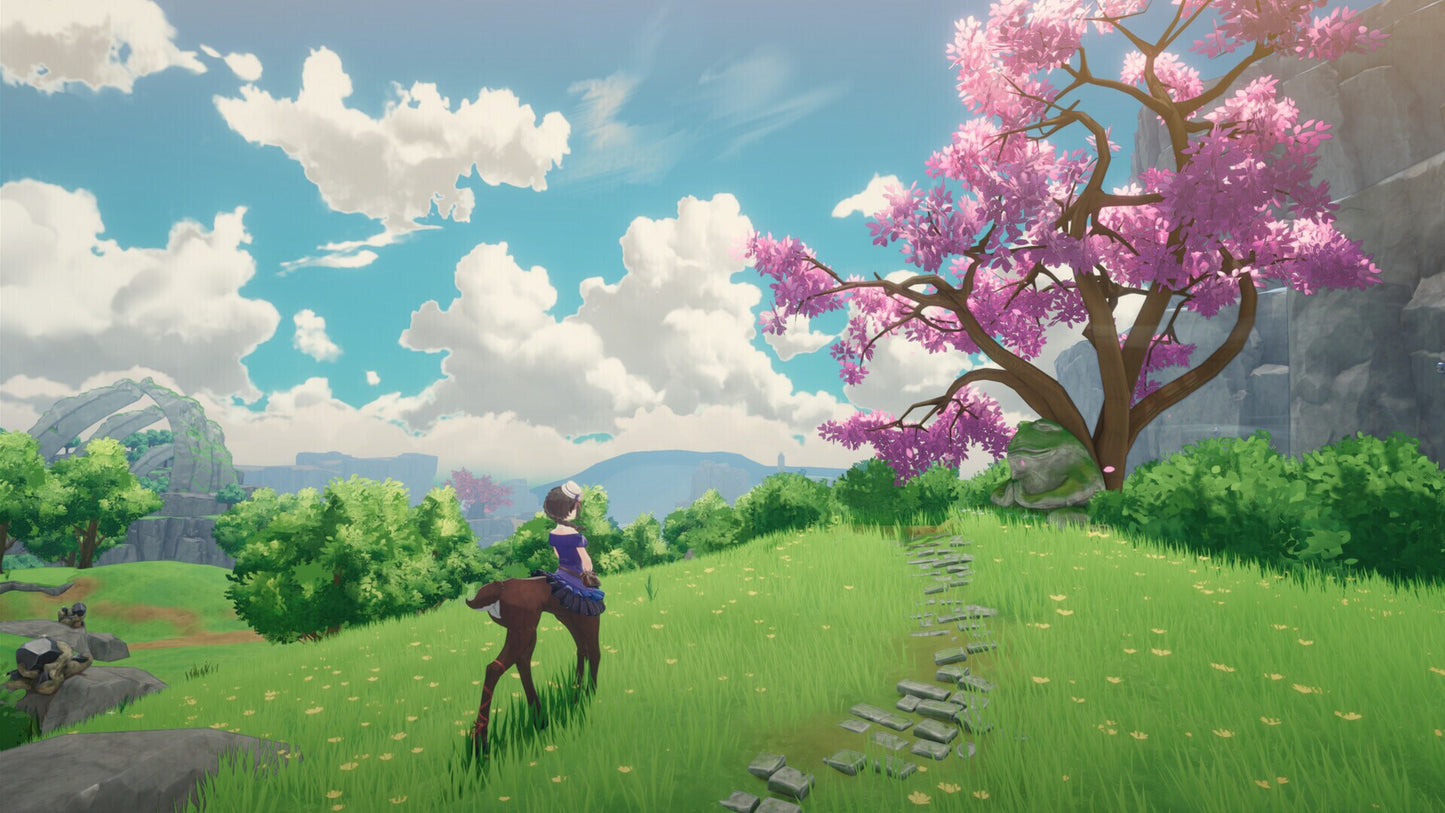 Tales of Seikyu (PC) - Steam Key - NORTH AMERICA   - ACE Entertainment [Email/Instant Delivery]