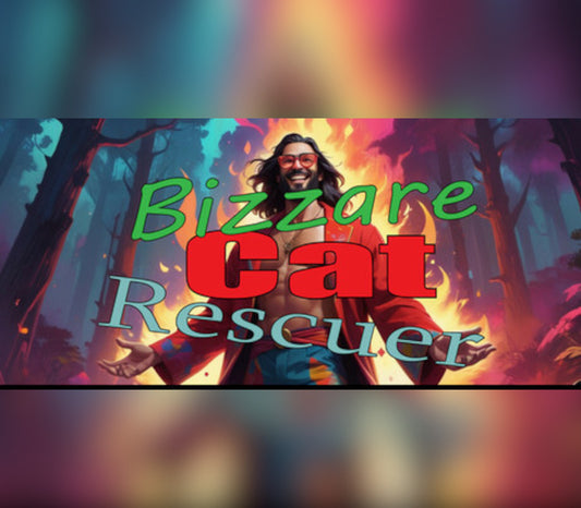 Bizzare Cat Rescuer PC Steam CD Key  REGION FREE NinjaCat - [Email/Instant Delivery]