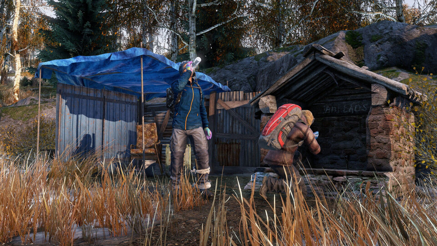 DayZ: Frostline (PC) - Steam Gift - GLOBAL  [Email/Instant Delivery]
