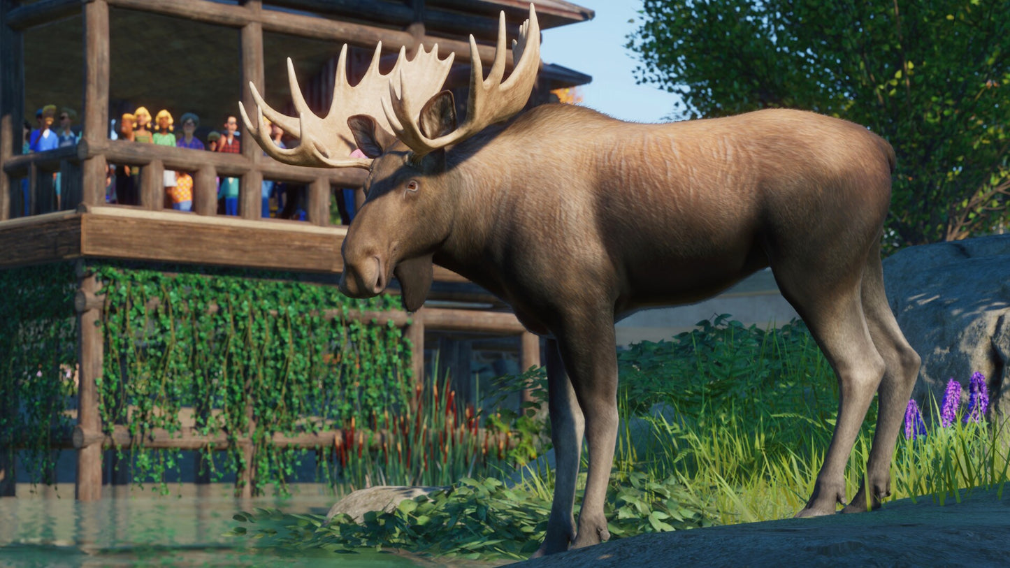 Planet Zoo: North America Animal Pack (PC) - Steam Key - GLOBAL   - Frontier Developments [Email/Instant Delivery]